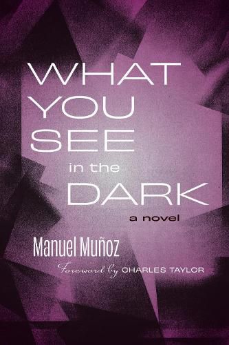 Cover image for What You See in the Dark