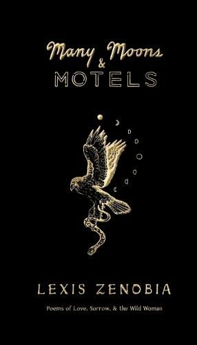 Cover image for Many Moons & Motels