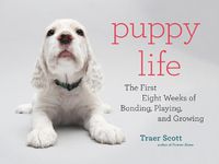 Cover image for Puppy Life: The First Eight Weeks of Bonding, Playing, and Growing