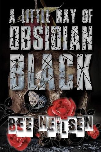 Cover image for A Little Ray of Obsidian Black