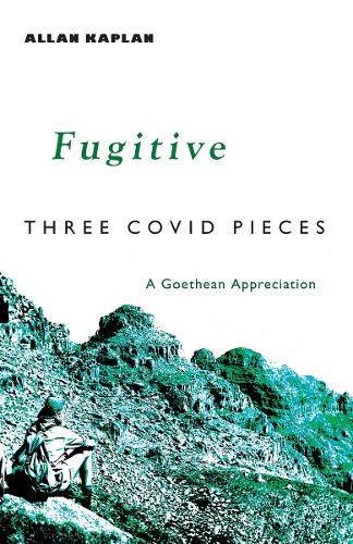 Cover image for Fugitive