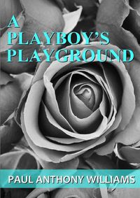 Cover image for A Playboy's Playground