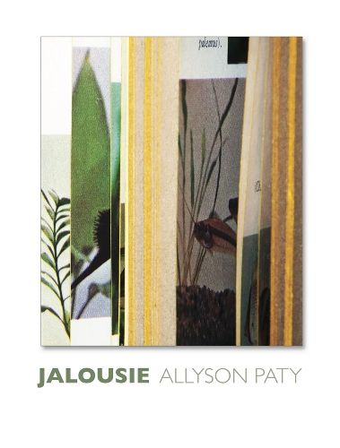 Cover image for Jalousie