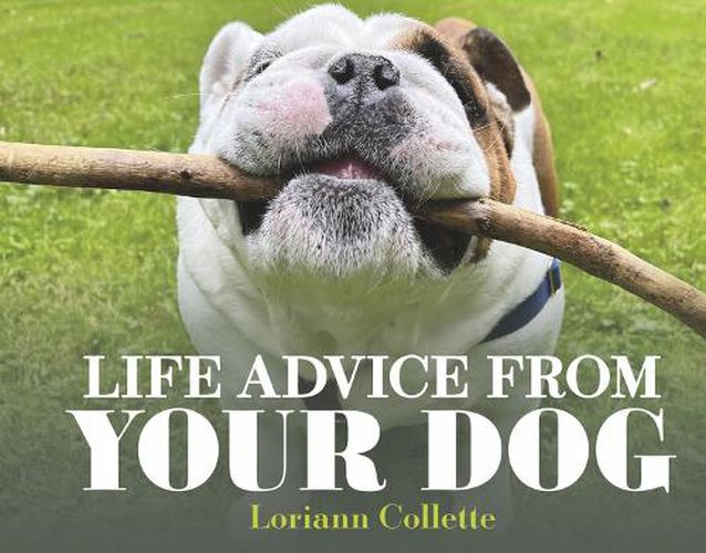 Cover image for Life Advice From Your Dog