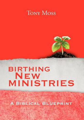 Cover image for Birthing New Ministries: A Biblical Blueprint