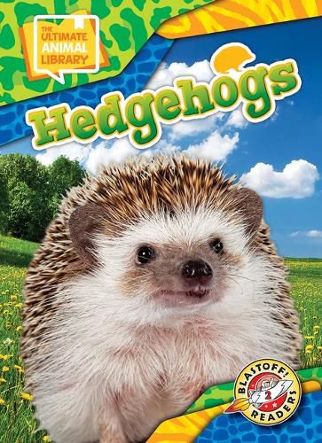 Cover image for Hedgehogs