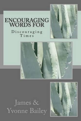 Cover image for Encouraging Words for Discouraging Times