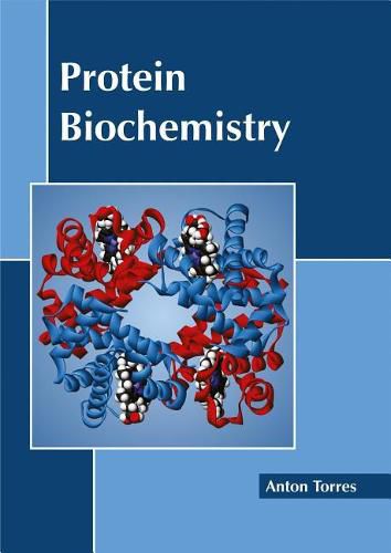 Cover image for Protein Biochemistry