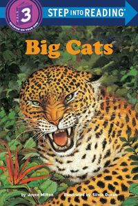 Cover image for Big Cats