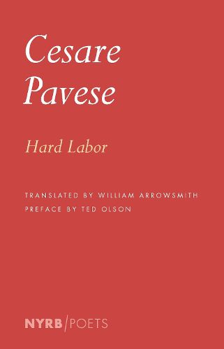 Cover image for Hard Labor