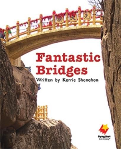 Cover image for Fantastic Bridges