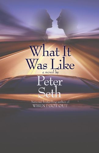 Cover image for What It Was Like: A Novel of Love and Consequence