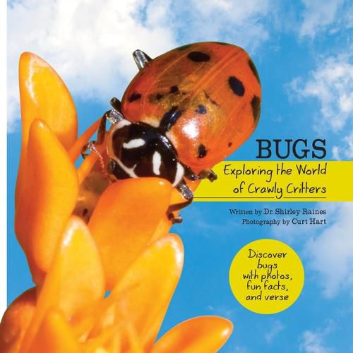 Cover image for Bugs: Exploring the World of Crawly Critters