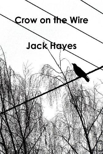 Cover image for Crow on the Wire