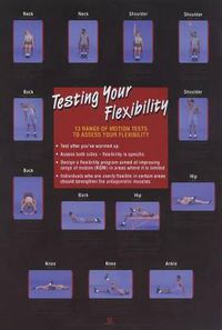Cover image for Testing Your Flexibility