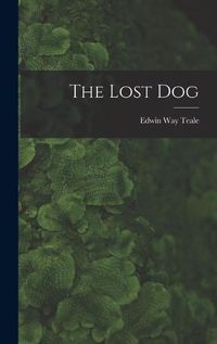 Cover image for The Lost Dog