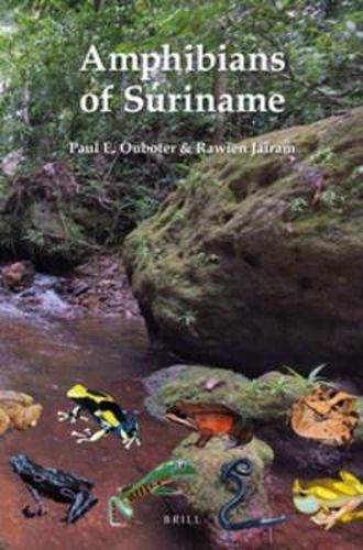 Cover image for Amphibians of Suriname