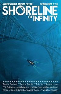 Cover image for Shoreline of Infinity 34