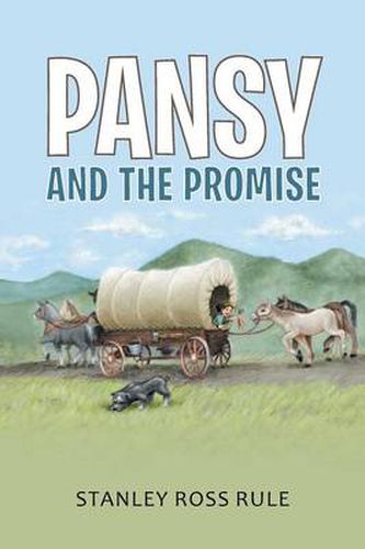 Cover image for Pansy and the Promise