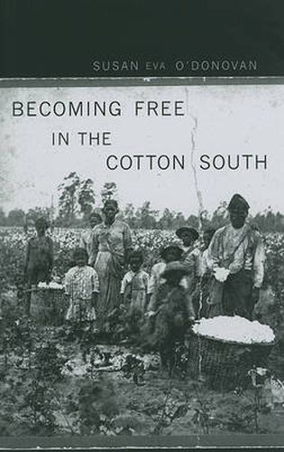 Cover image for Becoming Free in the Cotton South