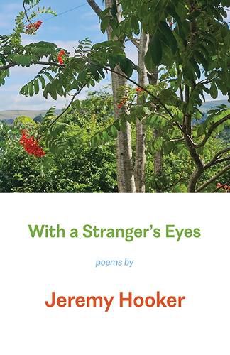 Cover image for With a Stranger's Eyes