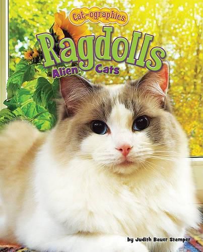 Cover image for Ragdolls: Alien Cats