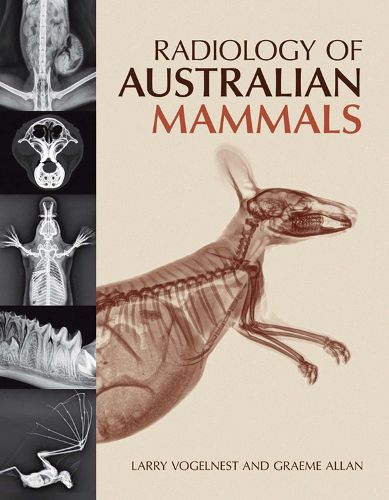 Cover image for Radiology of Australian Mammals