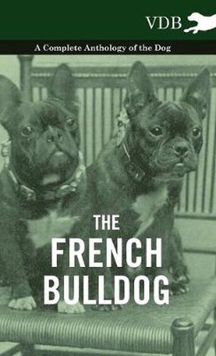 Cover image for The French BullDog A Complete Anthology of the Dog