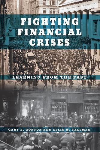 Cover image for Fighting Financial Crises: Learning from the Past