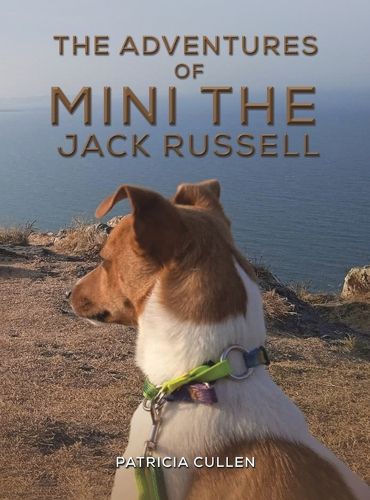 The Adventures of Mini the Jack Russell