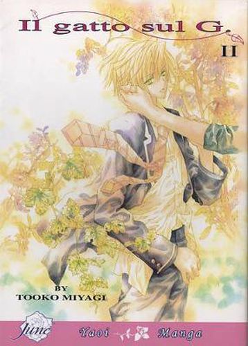 Cover image for Il Gatto Sul G Volume 2 (Yaoi)