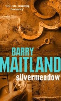 Cover image for Silvermeadow