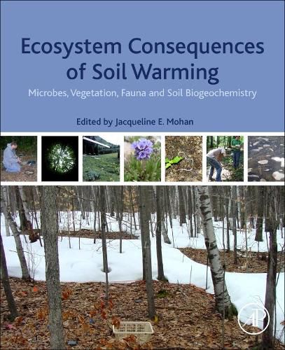 Ecosystem Consequences of Soil Warming: Microbes, Vegetation, Fauna and Soil Biogeochemistry