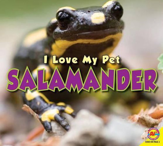 Cover image for Salamander