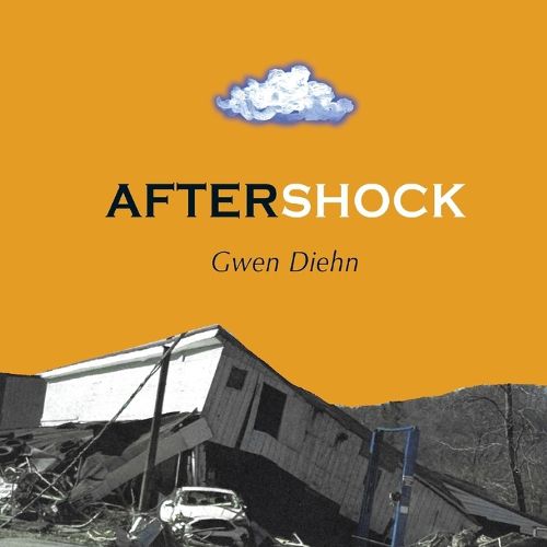 Cover image for AfterShock