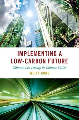 Cover image for Implementing a Low-Carbon Future