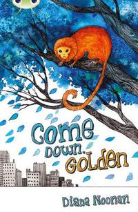 Cover image for Bug Club Independent Fiction Year 3 Brown A Come Down, Golden