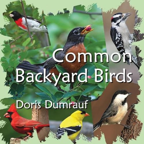 Cover image for Common Backyard Birds