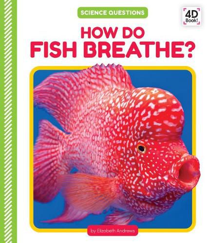 Cover image for How Do Fish Breathe?