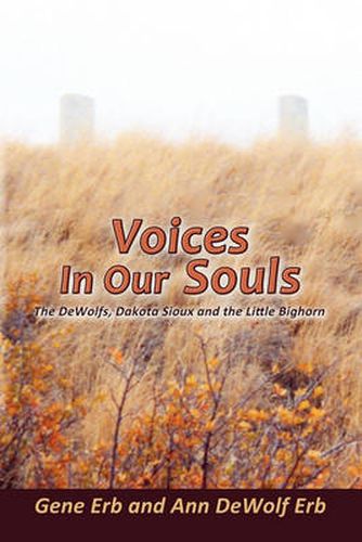 Cover image for Voices in Our Souls