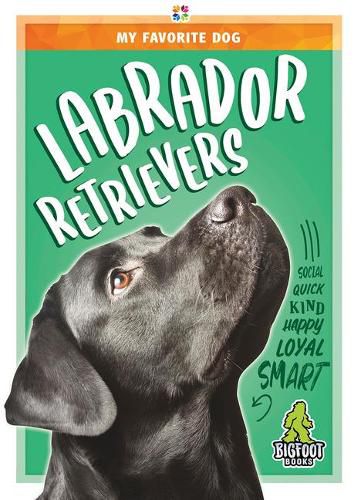 Labrador Retrievers