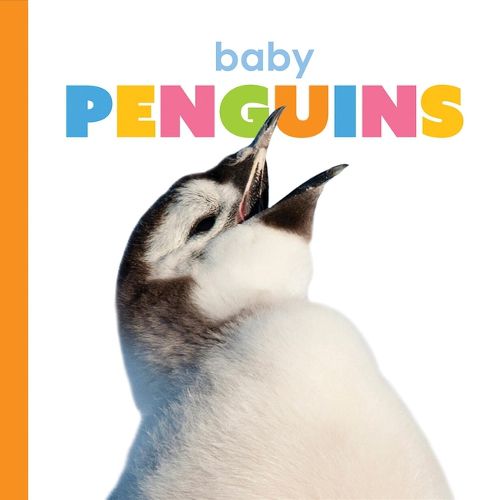 Cover image for Baby Penguins