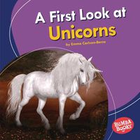 Cover image for A First Look at Unicorns