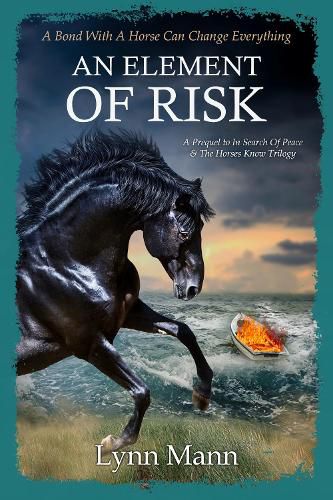 Cover image for An Element Of Risk