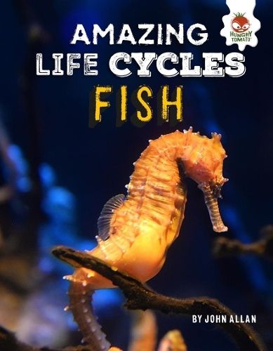 Cover image for Fish - Amazing Life Cycles