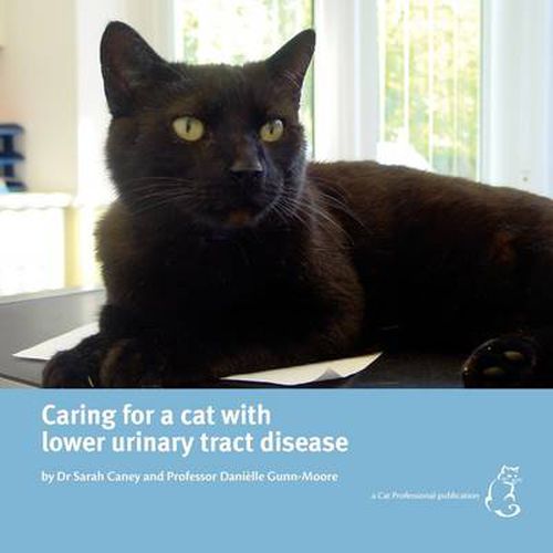 Cover image for Caring for a Cat with Lower Urinary Tract Disease