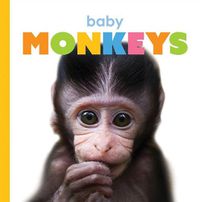 Cover image for Baby Monkeys