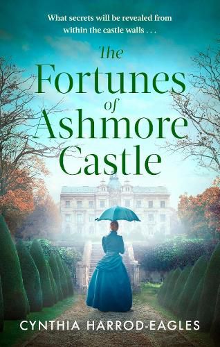 Cover image for The Fortunes of Ashmore Castle