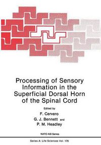 Cover image for Processing of Sensory Information in the Superficial Dorsal Horn of the Spinal Cord