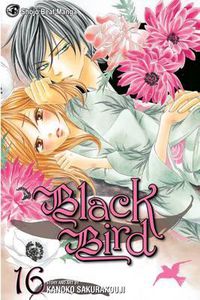 Cover image for Black Bird, Vol. 16